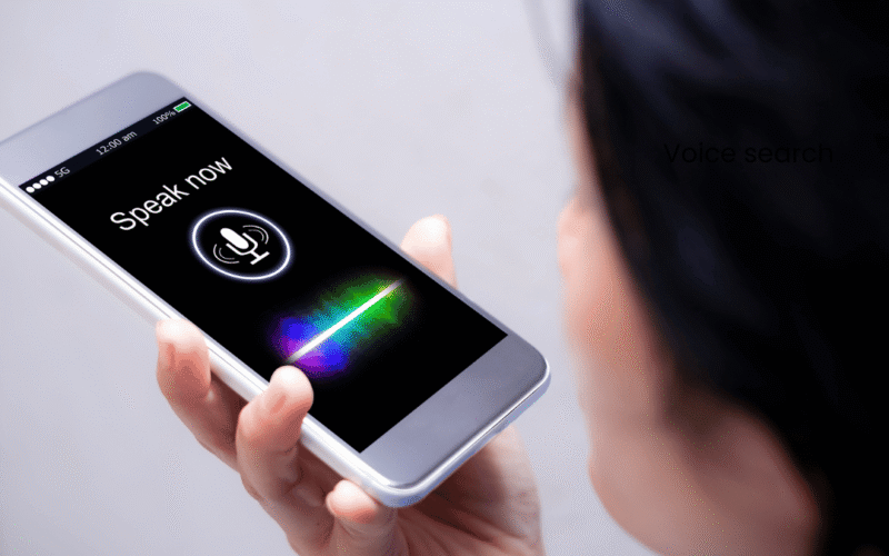 Voice-Search Blog 1