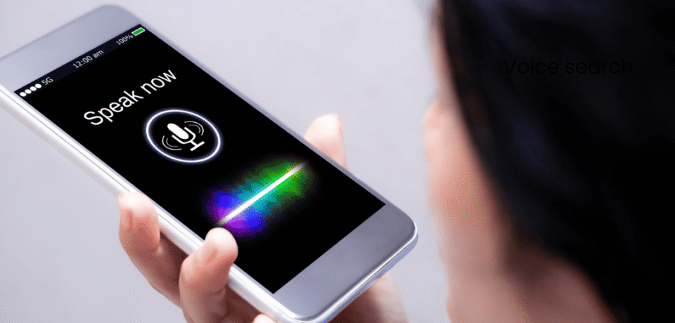 Voice-Search Blog 1