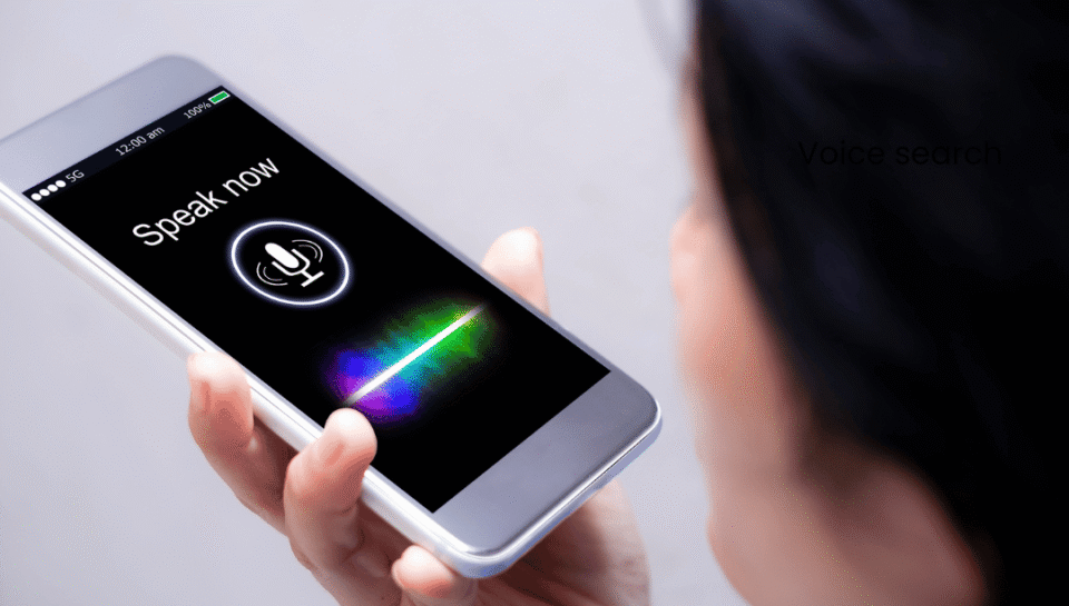 Voice-Search Blog 1